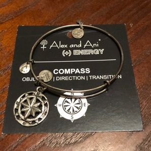 Alex and Ani Compass bangle